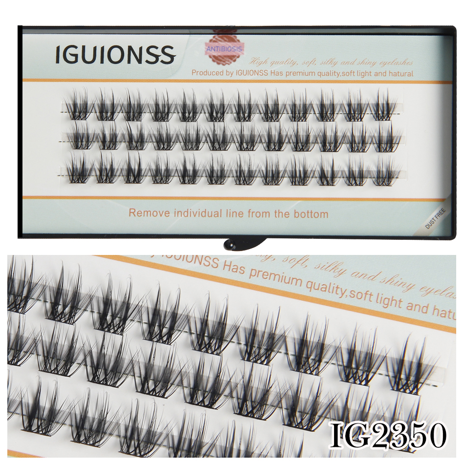IGUIONSS OEM ODM Segmented Eye - Eyelash Extension For Asian Eyes review and price