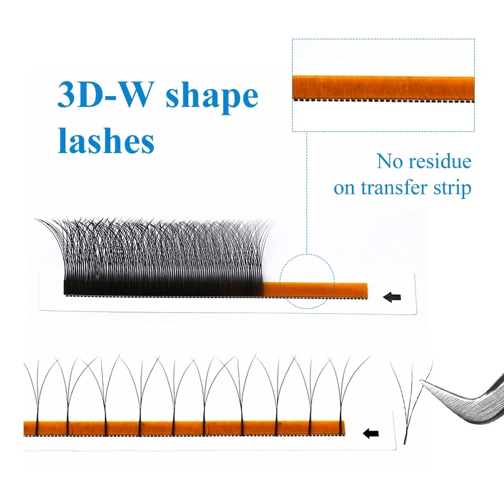 Wendy Lashes W Shape Supplies  - Eyelash Extension For Asian Eyes review and price