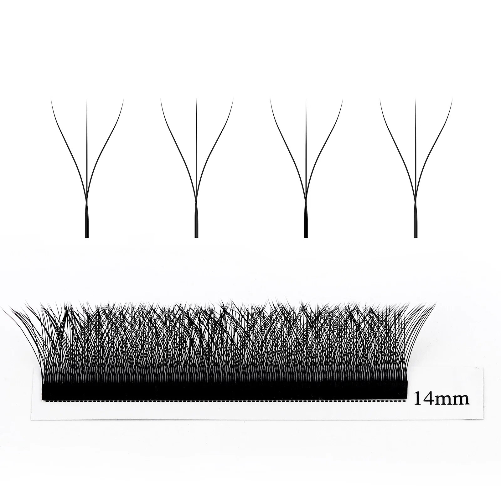 Wendy Lashes W Shape Supplies  - Eyelash Extension For Asian Eyes review and price
