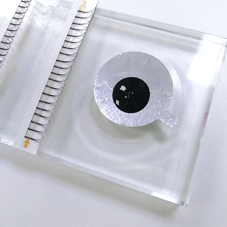300Pcs/pack Disposable Waterpr - Lash Mapping Sticker review and price