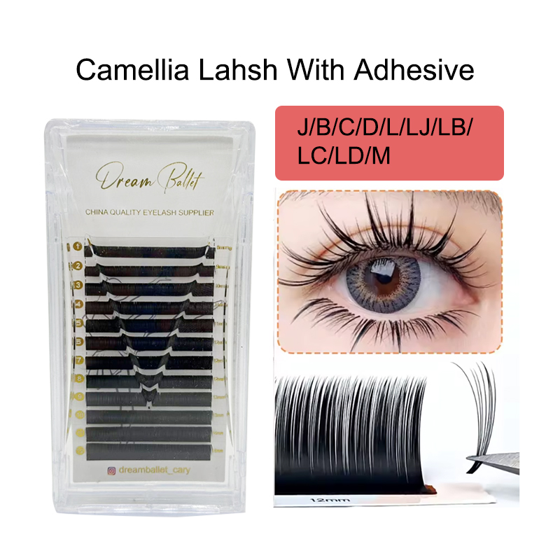 dream ballet Camellia Lashes w - Eyelash Extension For Asian Eyes review and price
