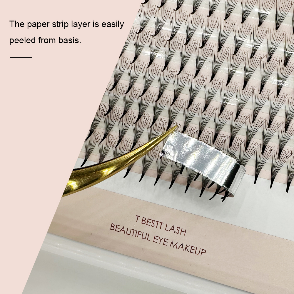 TBestt 5D/6D/8D/10D Premade Fa - Eyelash Extension For Asian Eyes review and price