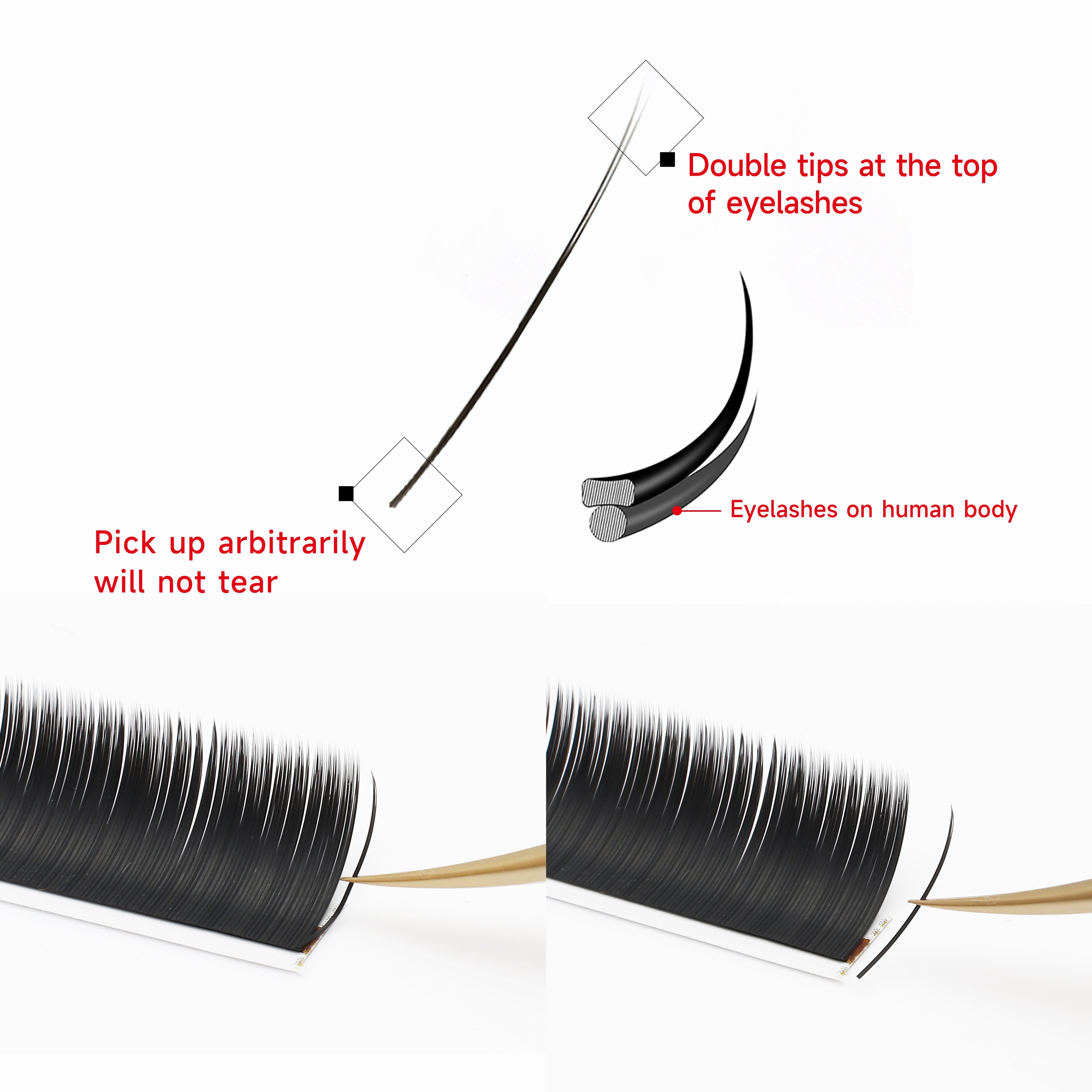 XIUSUZAKI Flat Ellipse Eyelash - Eyelash Extension For Asian Eyes review and price